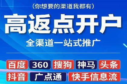 网络推广竞价策略解析与应用案例